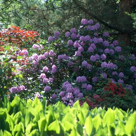 アパート Am Kneipp-park シャイデック